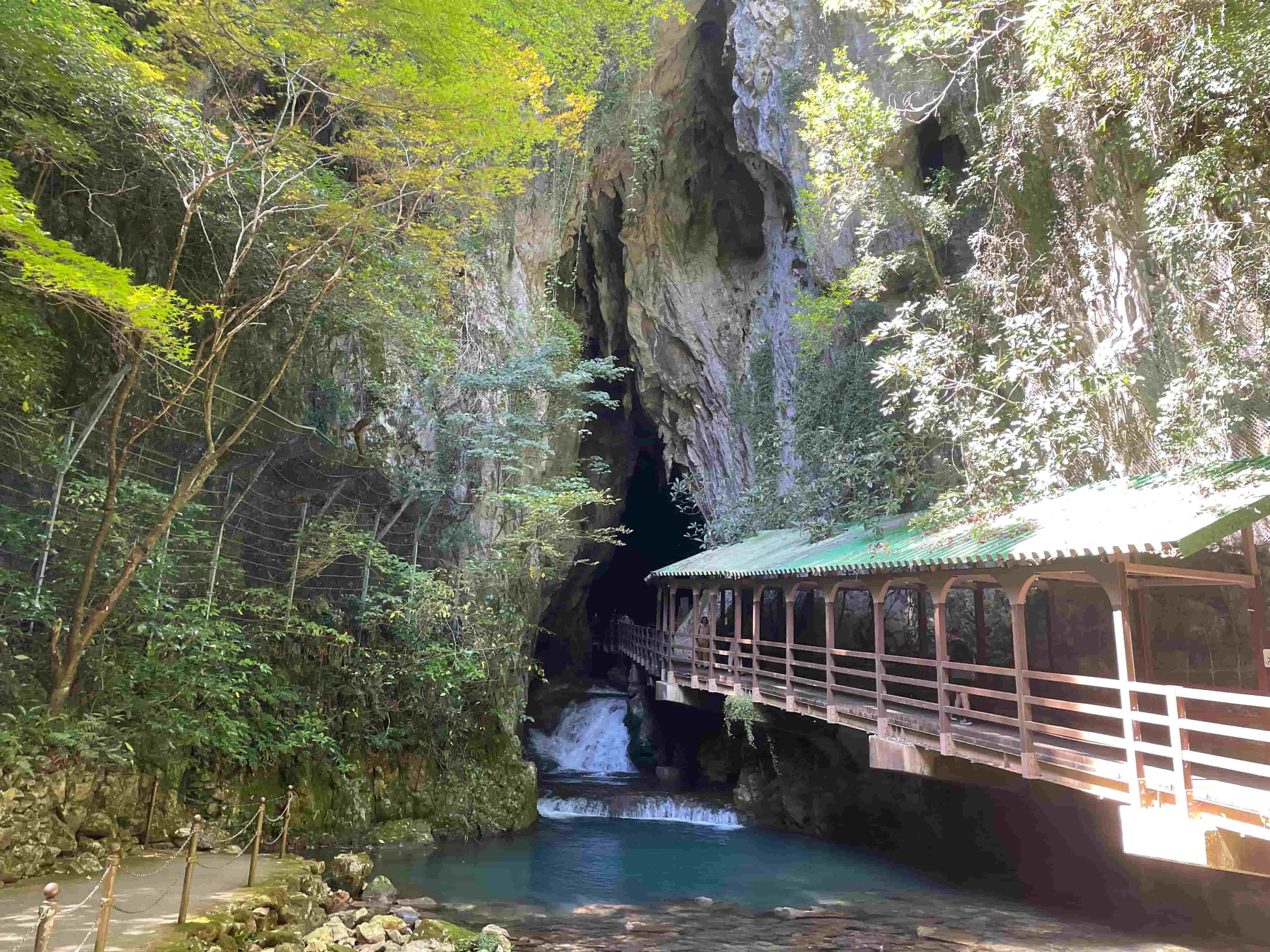 神社の鳥居