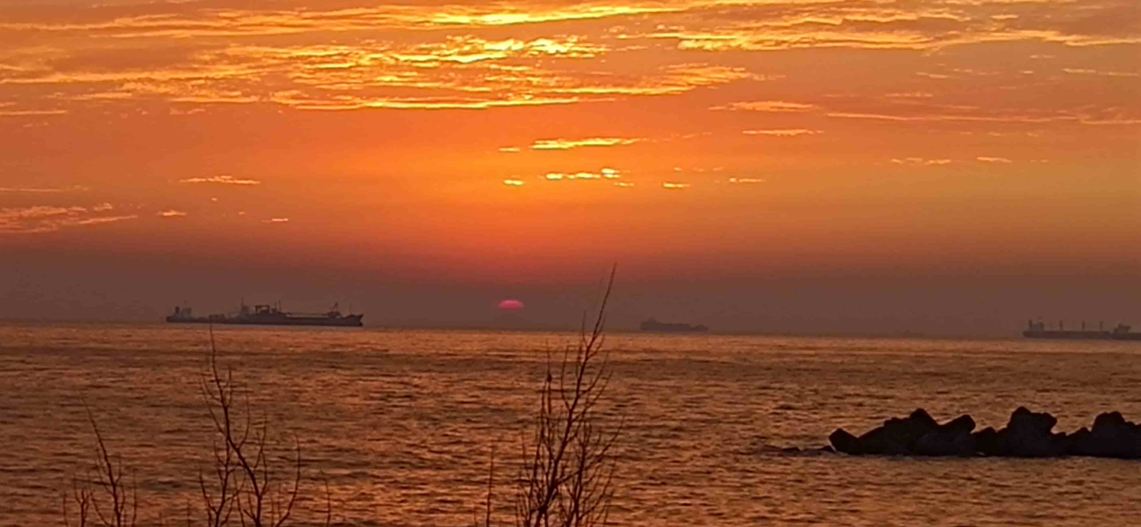 コーヒーカップ